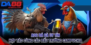 AOG Đá Gà