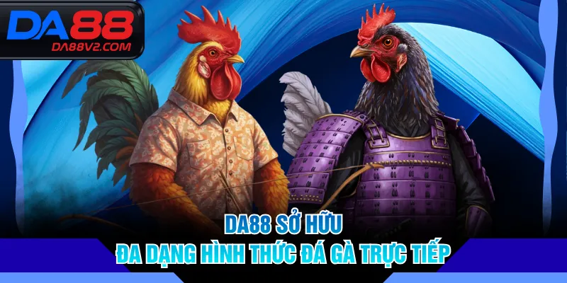DA88 sở hữu đa dạng hình thức đá gà trực tiếp