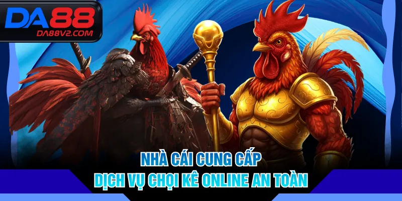 Nhà cái cung cấp dịch vụ chọi kê online an toàn