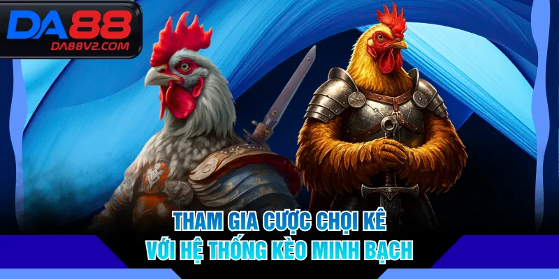 Tham gia cược chọi kê với hệ thống kèo minh bạch