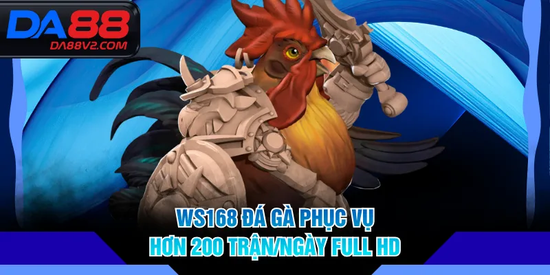 WS168 Đá Gà phục vụ hơn 200 trận/ngày full HD