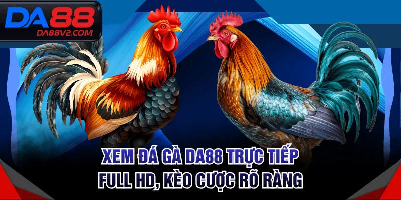 Xem Đá Gà DA88 Trực Tiếp Full HD, Kèo Cược Rõ Ràng